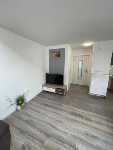 Einstein Apartment